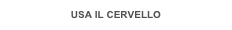 USA IL CERVELLO